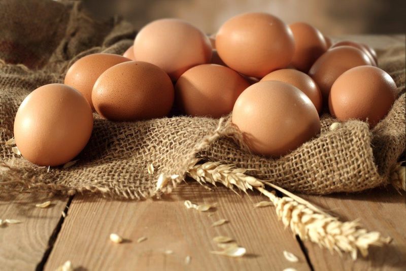 French Black Copper Marans Hatching Eggs