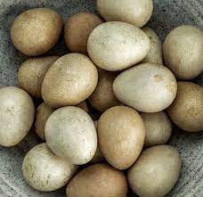 Guinea fowl eggs For Sale